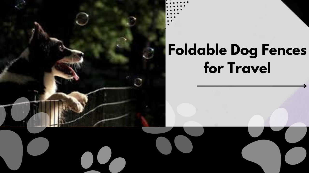 Foldable Dog Fences For Travel: Convenience And Safety