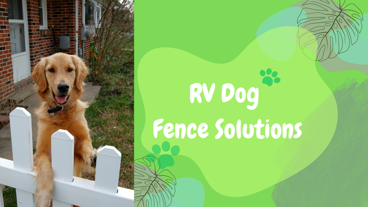 RV Dog Fence Solutions: Keeping Your Pet Safe On The Road