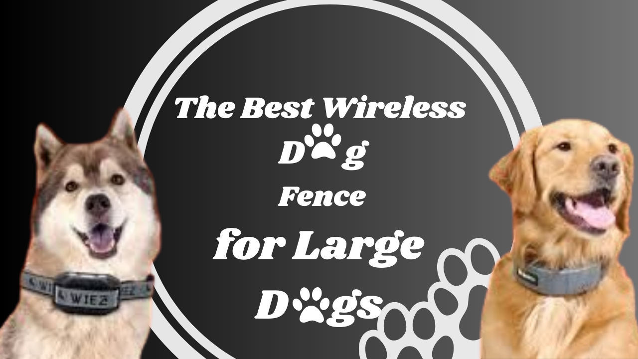 The Best Wireless Dog Fence for Large Dogs: A Comprehensive Review